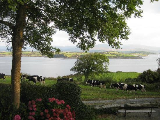 Dromcloc House Bed and Breakfast Bantry Exteriör bild